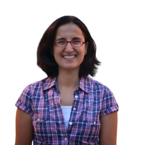 Deniz Erturk-Hasdemir