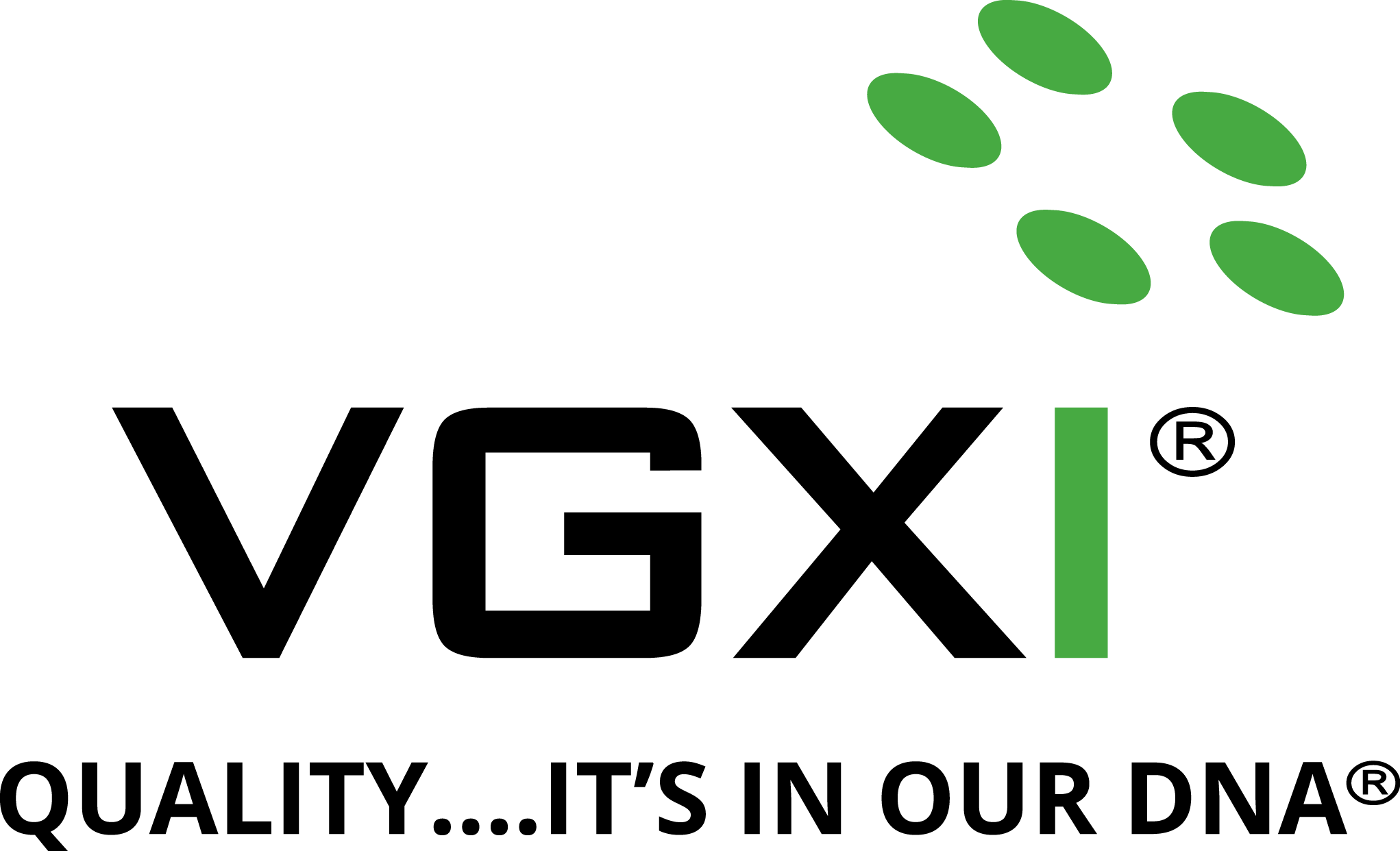 2018_VGXI logo with Quality Tagline_bk gn