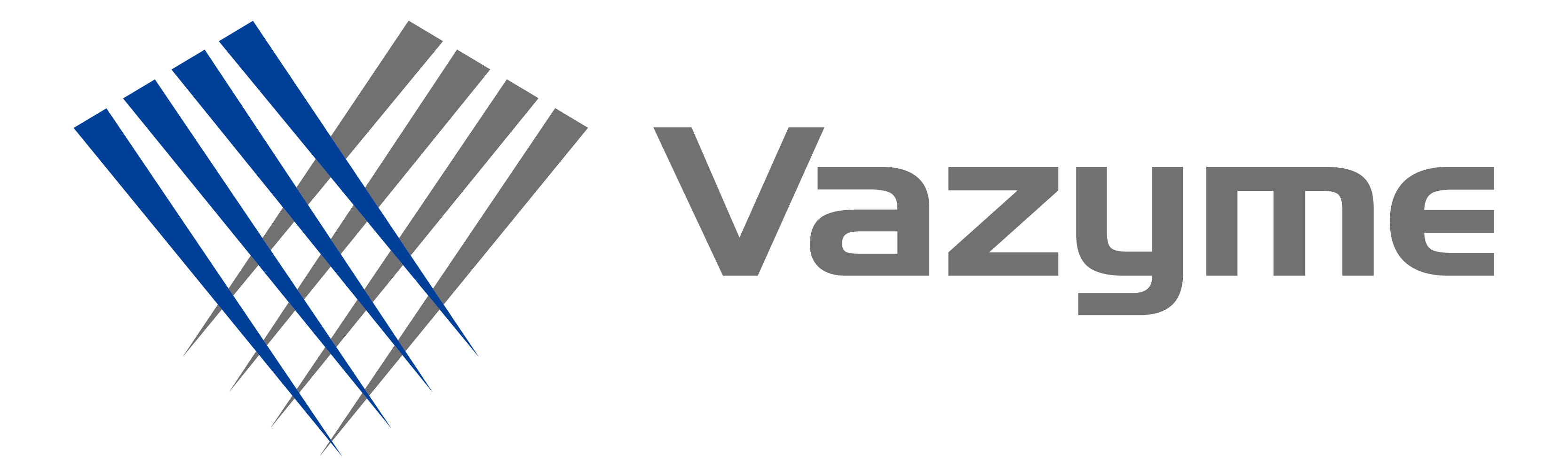 logo-vazyme